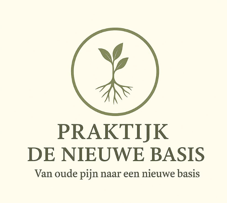 De Nieuwe Basis Logo