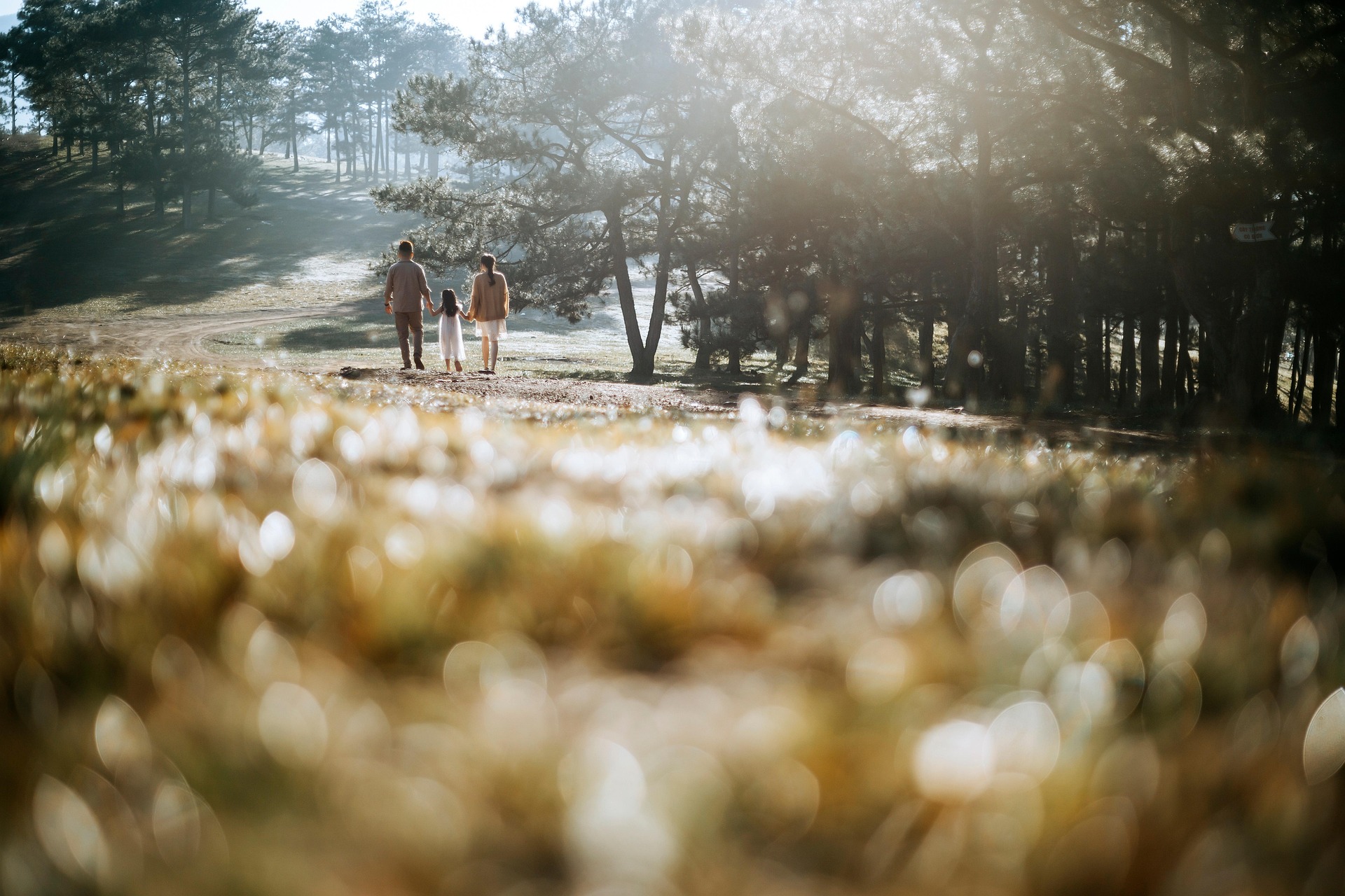 Hero image for homepage